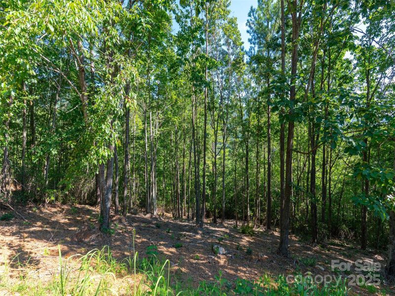 Image 22 of a home in . Image 22 of a home in .