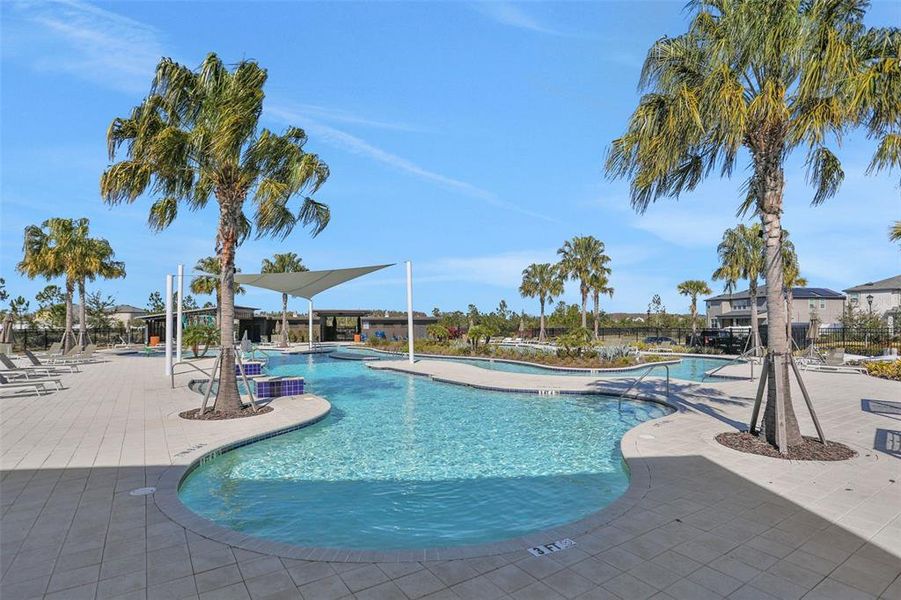 Community amenities in , Wesley Chapel (Image 24).