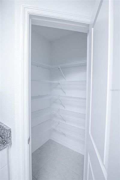 Spacious, unfurnished interior of a new home in Saddle Creek Preserve: The Manors II, Lakeland (Image 47).