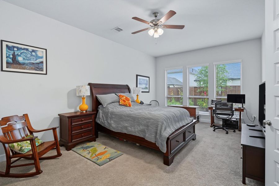 Primary bedroom, wall of windows letting in natural light Primary bedroom, wall of windows letting in natural light