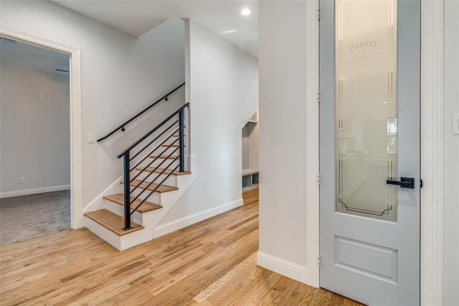 Entrance foyer featuring light carpet