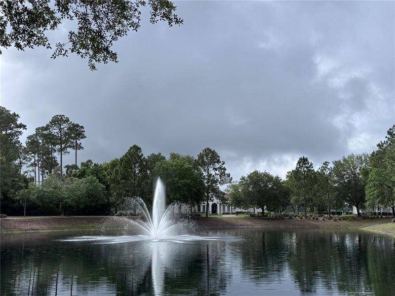 Natural landscape and outdoor views near  in Fernandina Beach (Image 55).