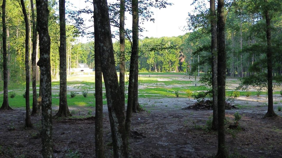 Natural landscape and outdoor views near in Ridgeville (Image 33). Natural landscape and outdoor views near in Ridgeville (Image 33).