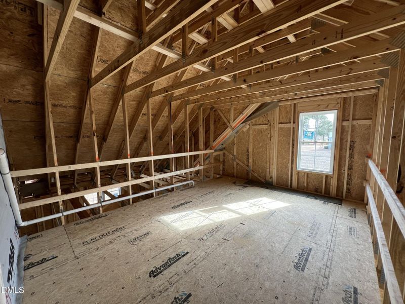 IMG_7485 2 IMG_7485 2