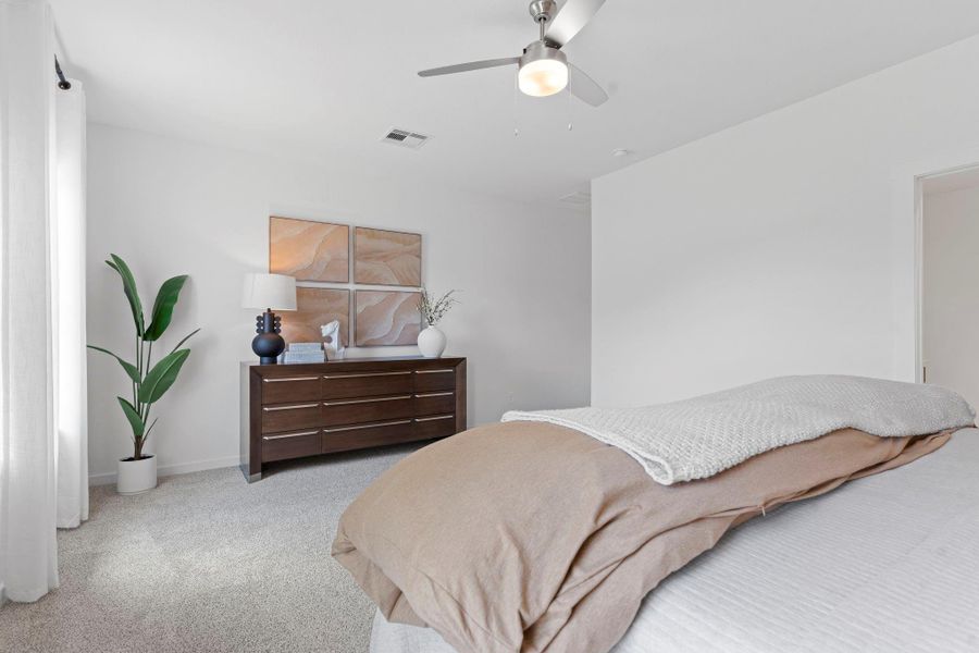 *Images and 3D tour are for illustration only and options may vary from home as built.