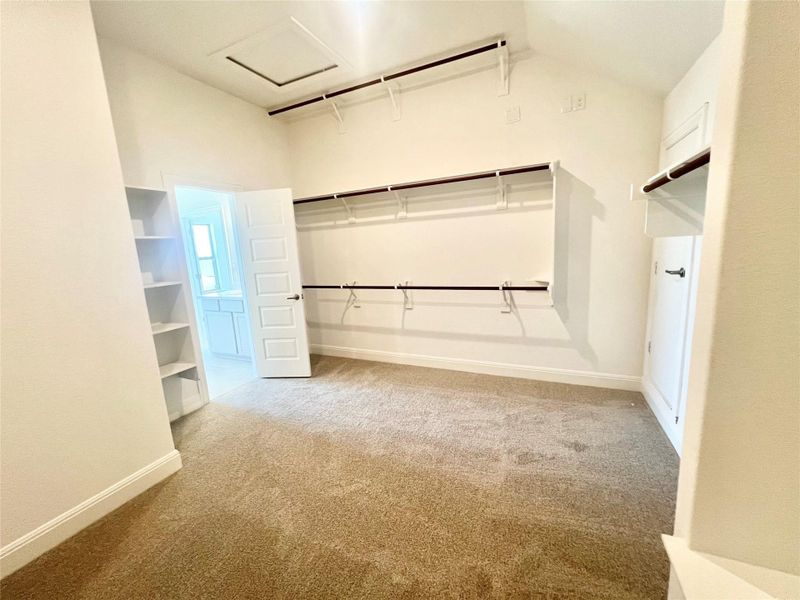 Spacious closet featuring carpet and attic access