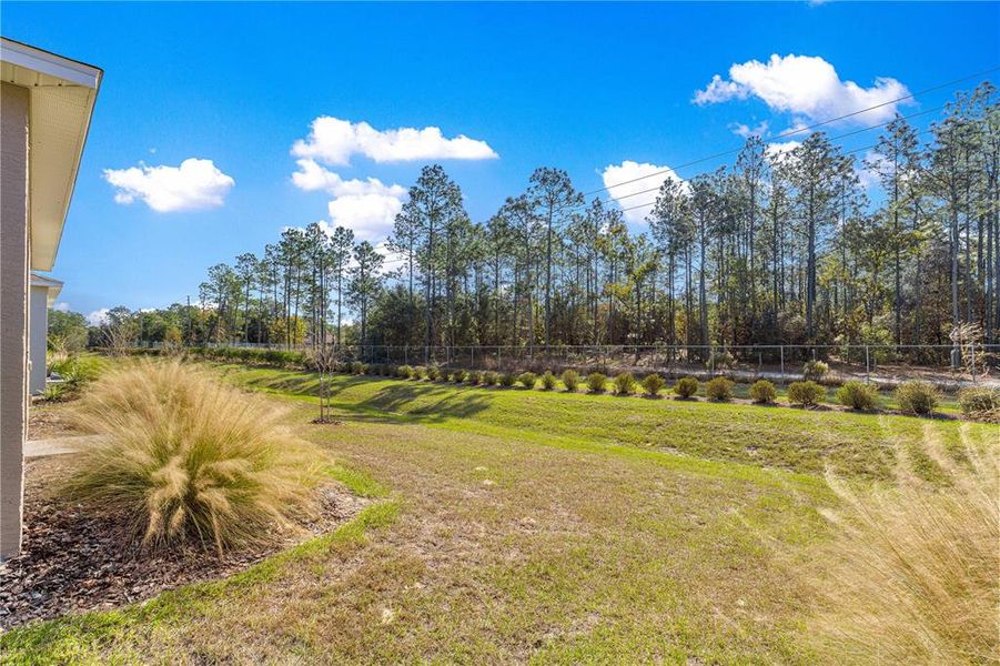 Exterior details and patio area of a home in On Top of the World Communities, Ocala (Image 32).
