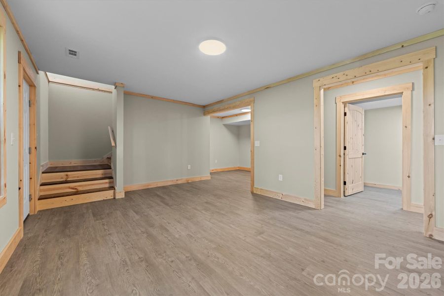 Downstairs Family Room