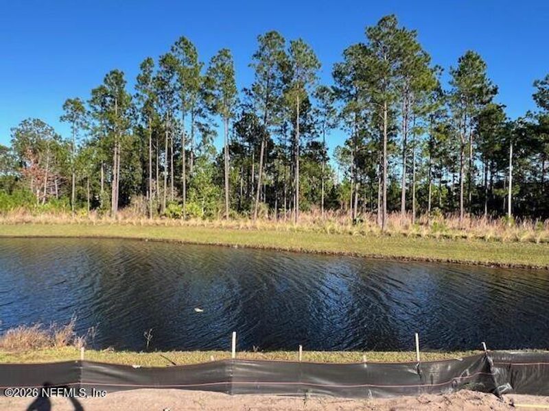 Natural landscape and outdoor views near Sawmill Branch in Palm Coast (Image 48).