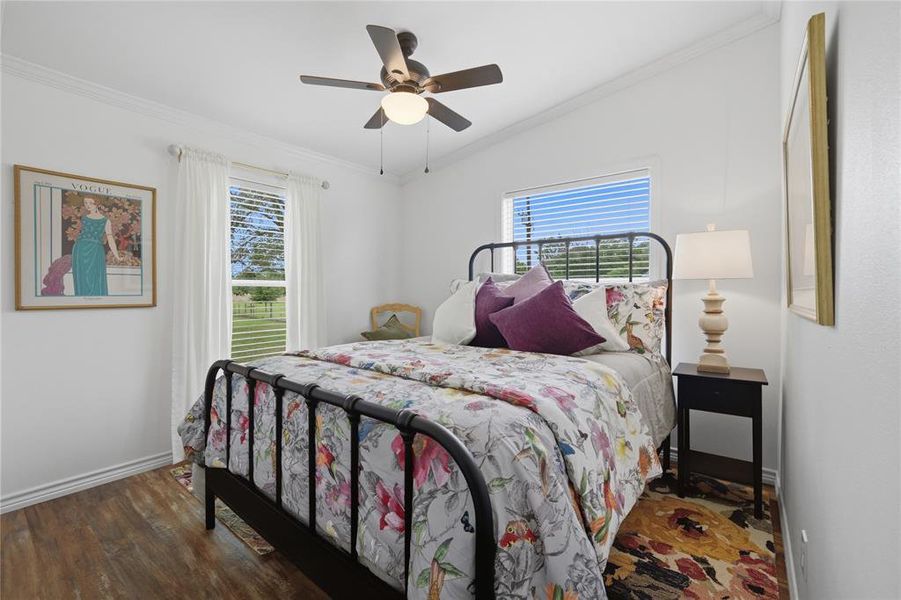 Room featuring vaulted ceilings with a ceiling fan, wood-finish flooring, and two windows with blinds and sheer curtains