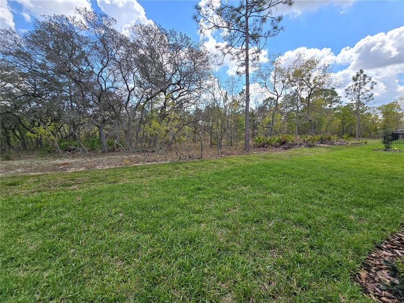 Natural landscape and outdoor views near  in Homosassa (Image 82).