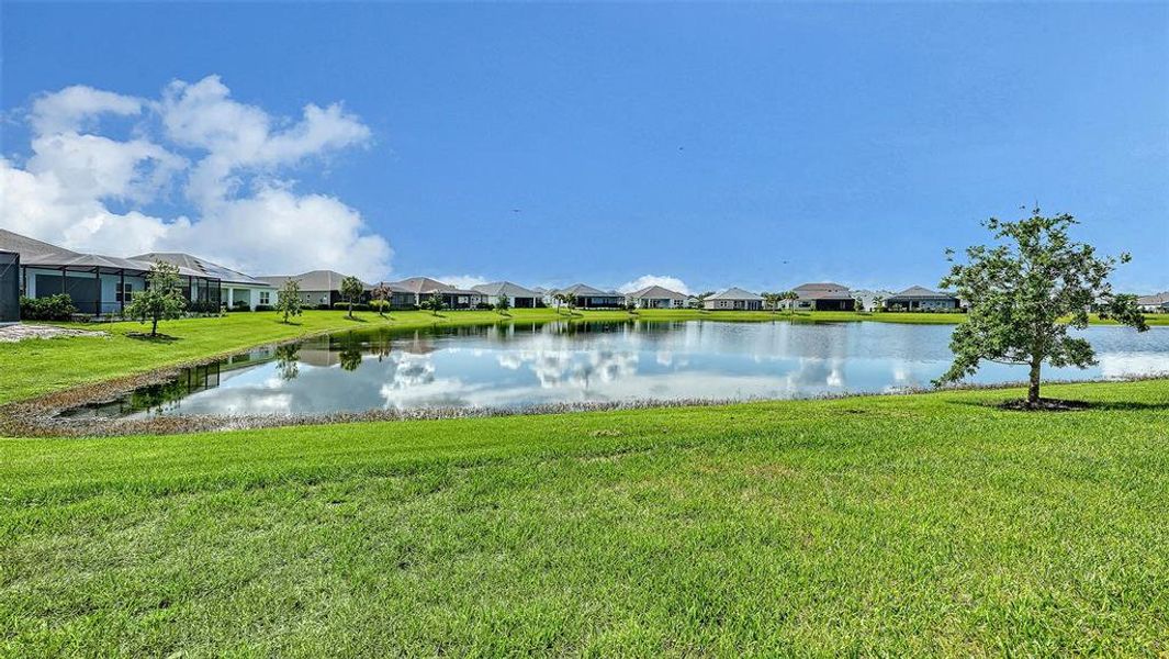 Natural landscape and outdoor views near Canoe Creek in Parrish (Image 41). Natural landscape and outdoor views near Canoe Creek in Parrish (Image 41).