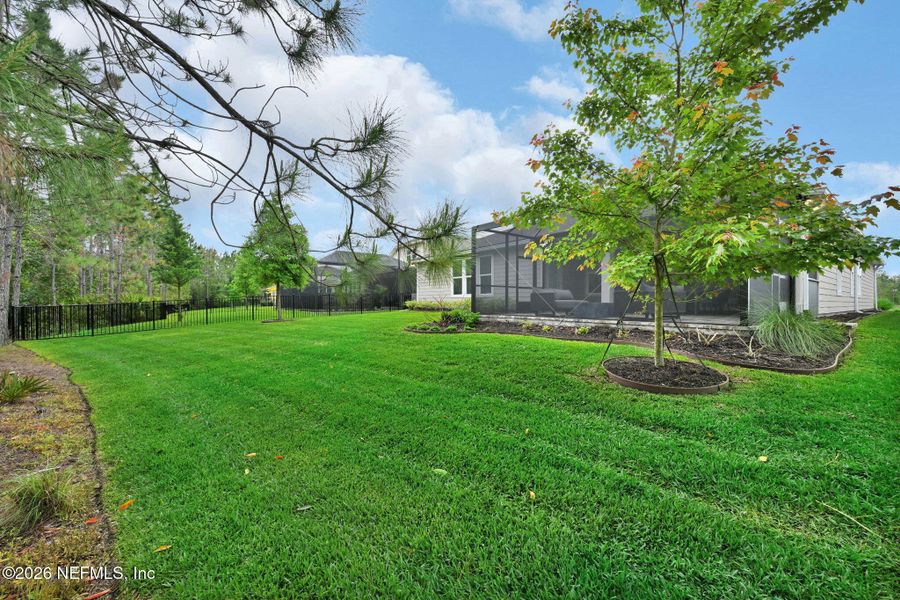 Natural landscape and outdoor views near  in Jacksonville (Image 66).