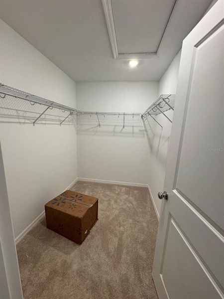 Spacious, unfurnished interior of a new home in , Sarasota (Image 9). Spacious, unfurnished interior of a new home in , Sarasota (Image 9).