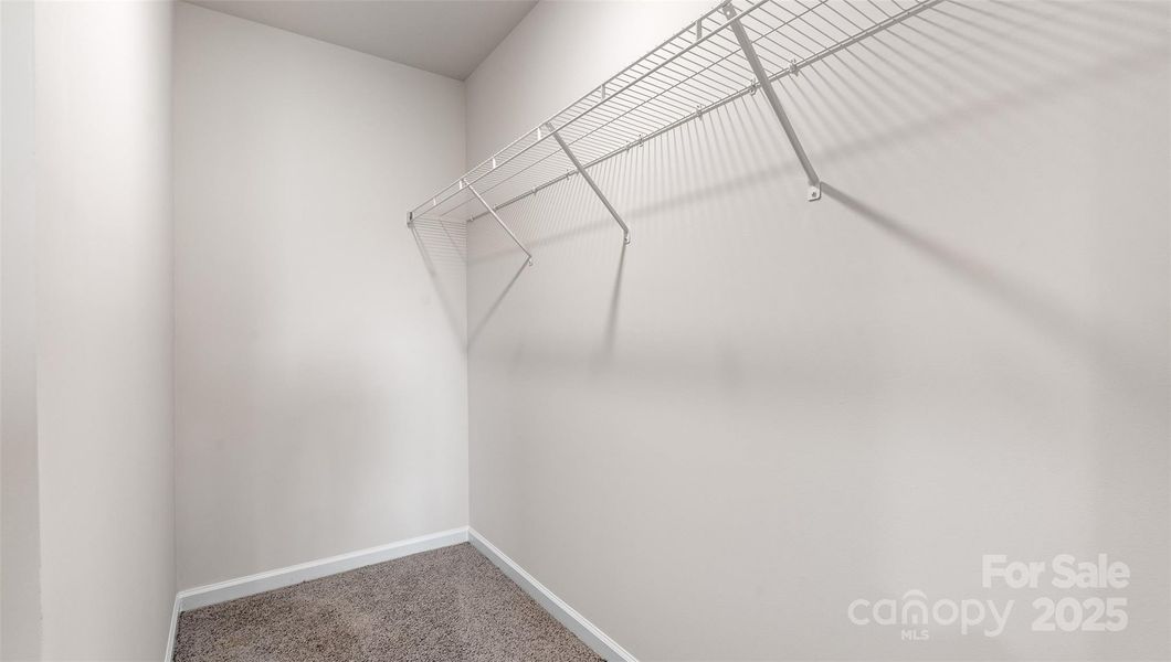 Photos are representative