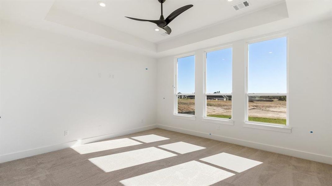 Unfurnished room featuring ceiling fan, a raised ceiling, and light carpet