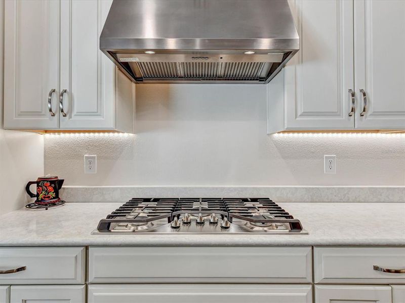 Close-up of interior finishes inside a home in , Wesley Chapel (Image 22).