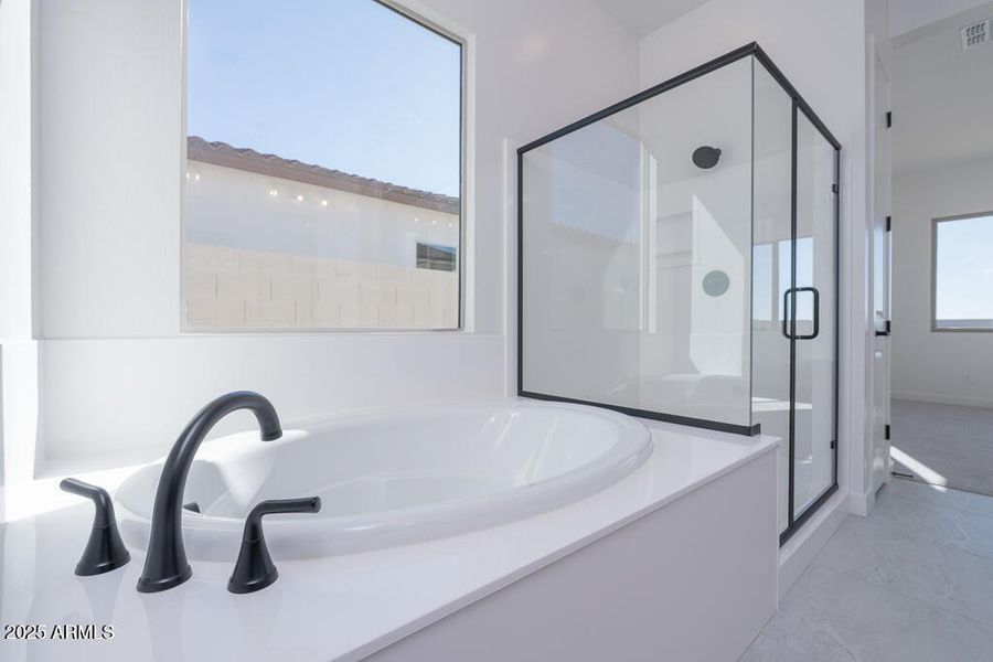 Tri Pointe Soleo 644 - Primary Bath-2MLS