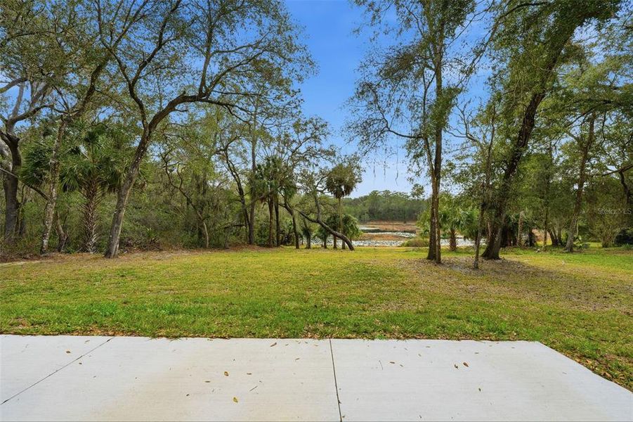 Natural landscape and outdoor views near  in Ocklawaha (Image 37).