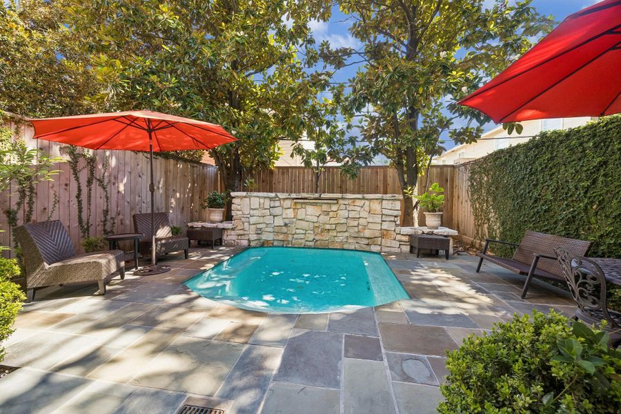 Big - Big backyard !