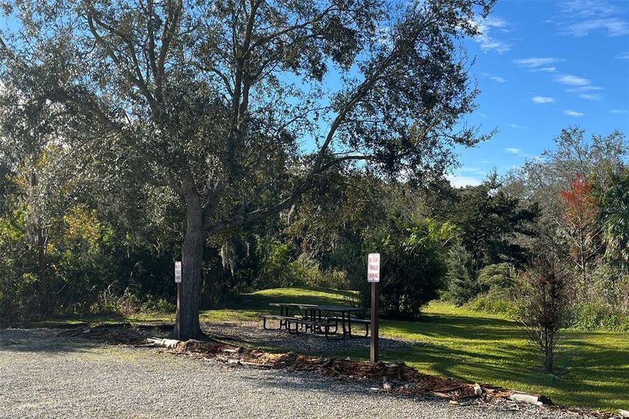 Natural landscape and outdoor views near Pine Meadows Reserve in Eustis (Image 6).