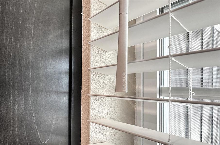 Levalor window coverings throughout included