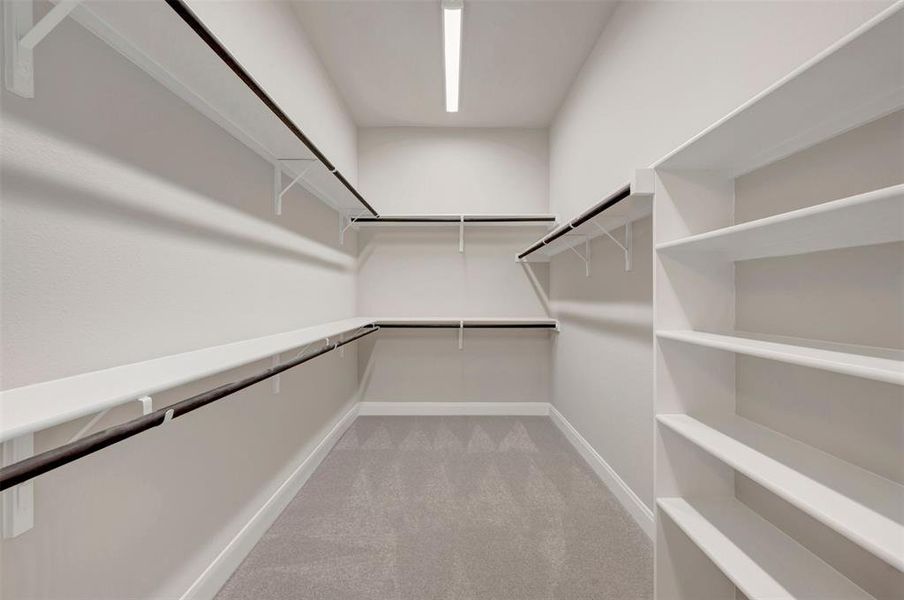 Spacious walk-in closet featuring light gray carpeting, built-in shelving, white walls, and a ceiling-mounted light fixture