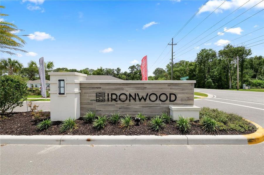 Front exterior of a new home in Ironwood, Lakeland, FL, highlighting curb appeal (Image 21).