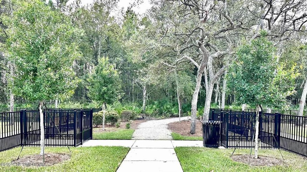 Natural landscape and outdoor views near  in St. Johns (Image 28).