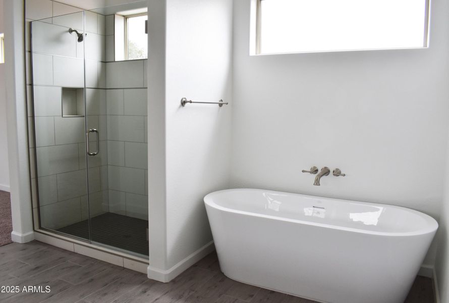 Master Bath 3 small (1)