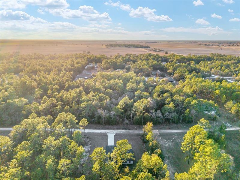 Natural landscape and outdoor views near  in Dunnellon (Image 67).