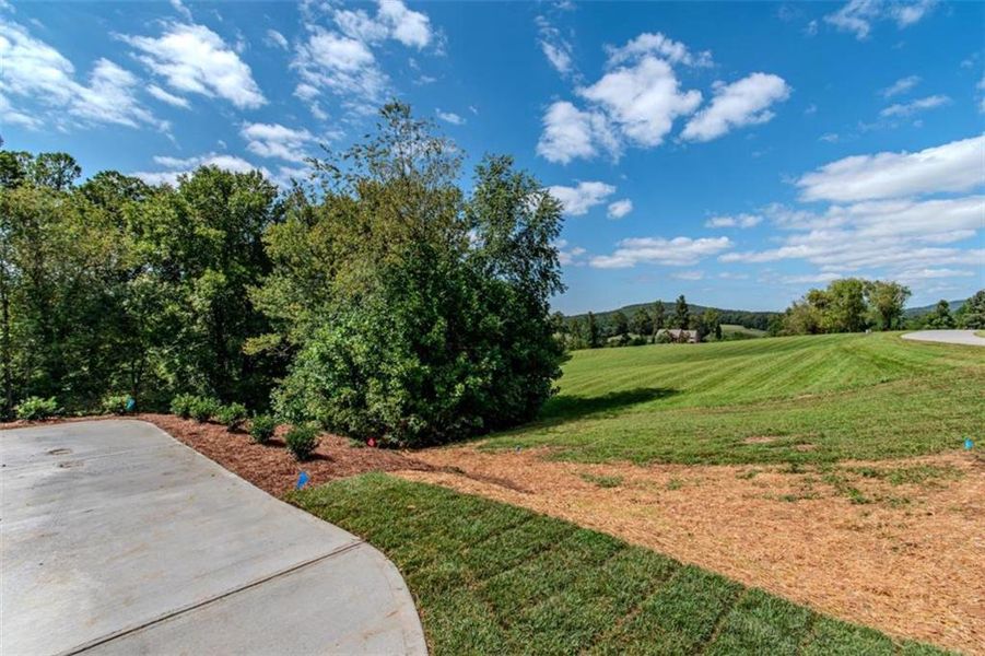 Natural landscape and outdoor views near  in Blairsville (Image 90).