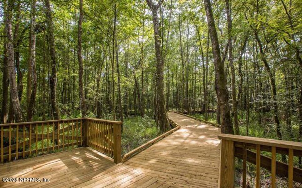 Natural landscape and outdoor views near Shearwater in St. Augustine (Image 50). Natural landscape and outdoor views near Shearwater in St. Augustine (Image 50).