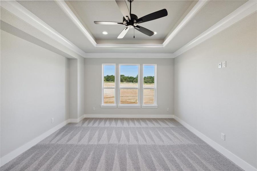 Spare room with light carpet, ceiling fan, and a raised ceiling