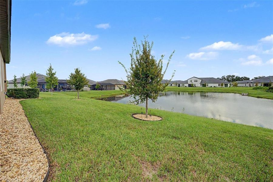 Natural landscape and outdoor views near Mirada Active Adult in San Antonio (Image 82). Natural landscape and outdoor views near Mirada Active Adult in San Antonio (Image 82).