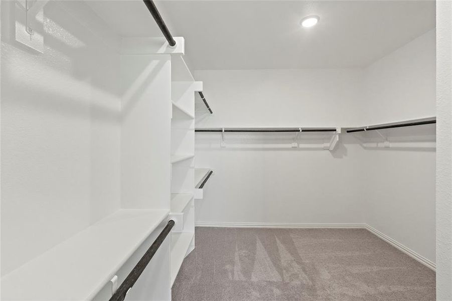 Spacious closet with carpet flooring