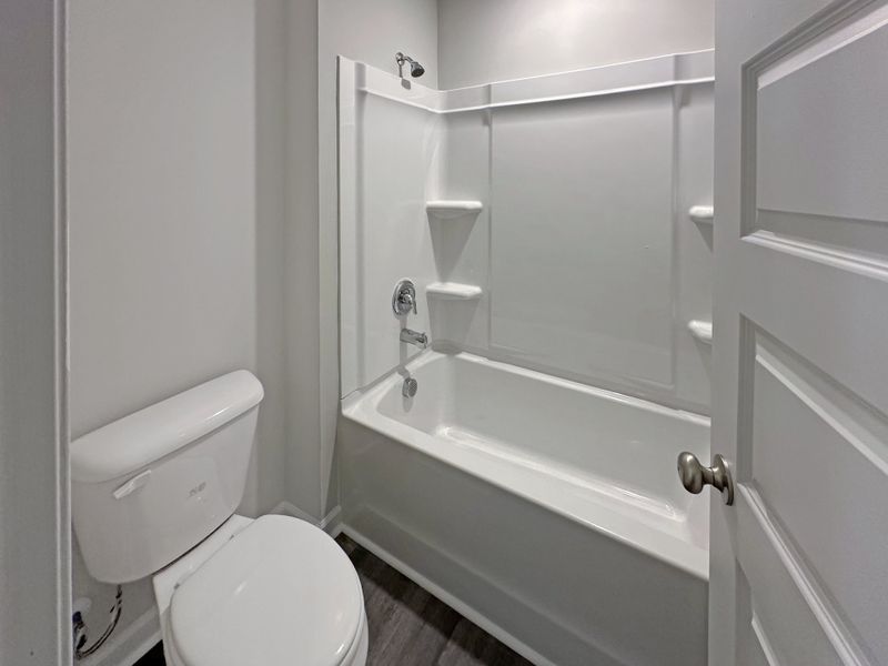 Furnished interior view inside a new home in Tibet Road at Sassafras, Allenhurst (Image 13).