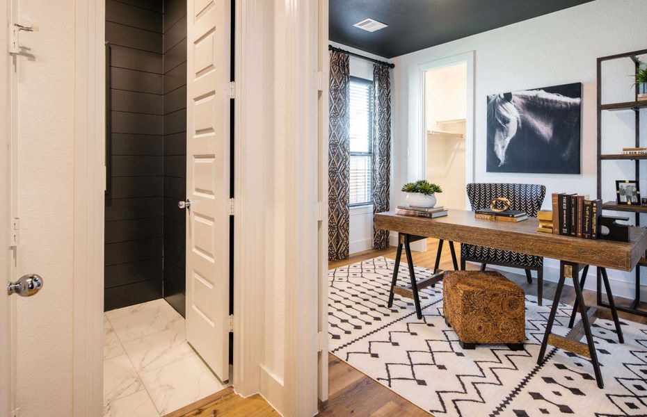 Representative Study - some options shown