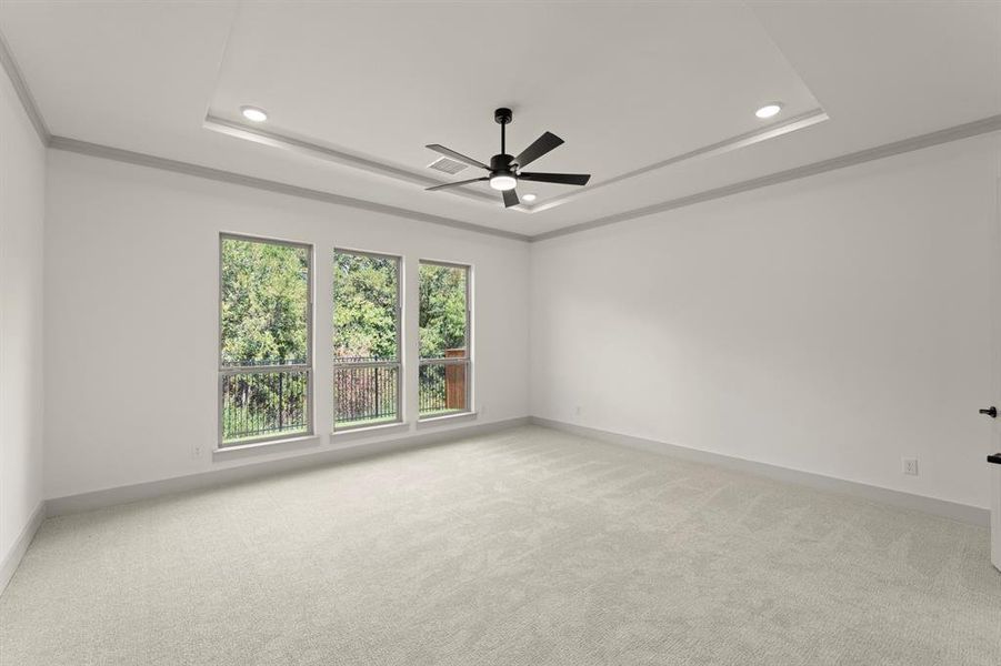 14. 903 Stellar - Primary