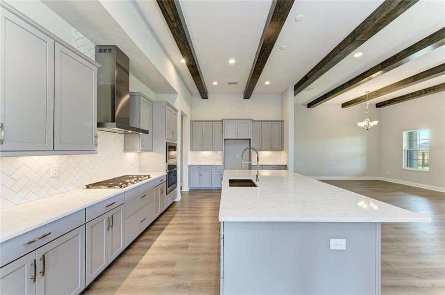 Furnished interior view inside a new home in Hawkstone, Lithia (Image 12).