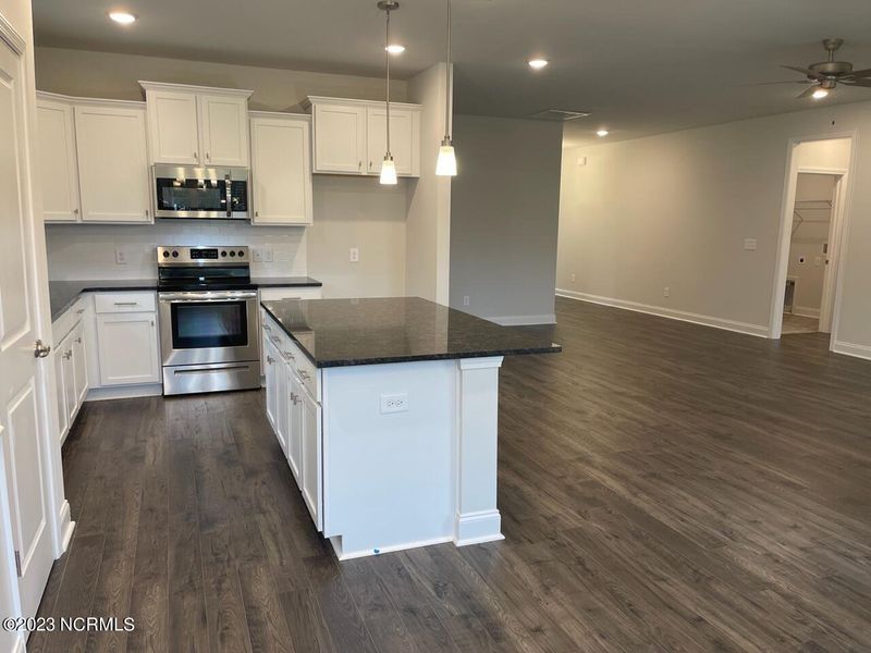 Furnished interior view inside a new home in Summer Place, Grimesland (Image 5).