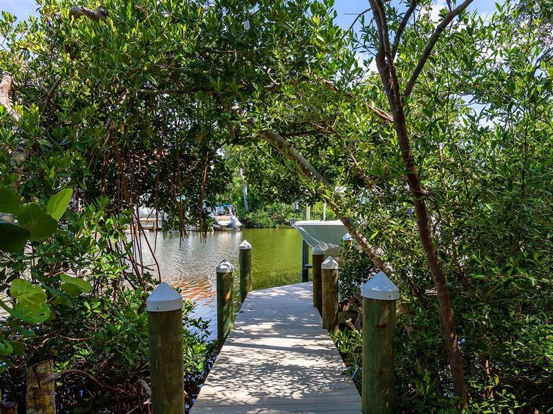 Natural landscape and outdoor views near  in Sarasota (Image 62).