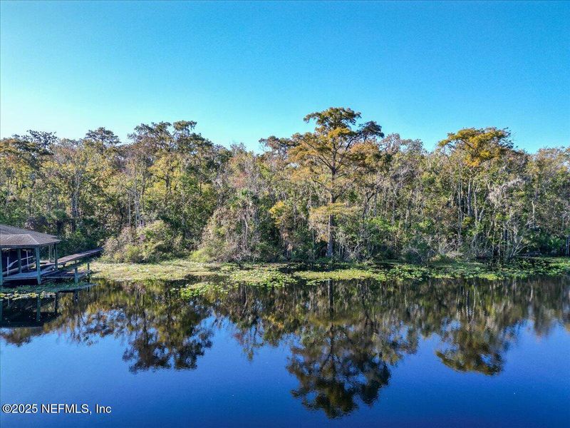 Natural landscape and outdoor views near  in Jacksonville (Image 49).