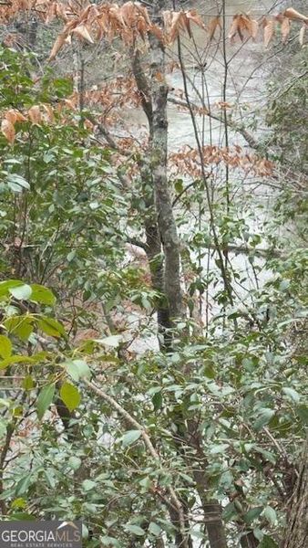 Natural landscape and outdoor views near in Douglasville (Image 3). Natural landscape and outdoor views near in Douglasville (Image 3).