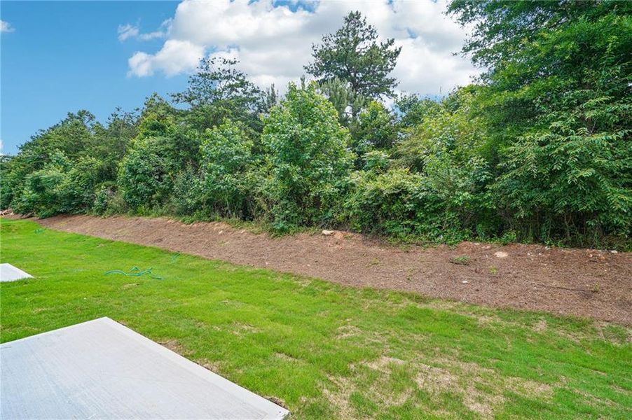 Natural landscape and outdoor views near Artisan Walk in Fairburn (Image 32).