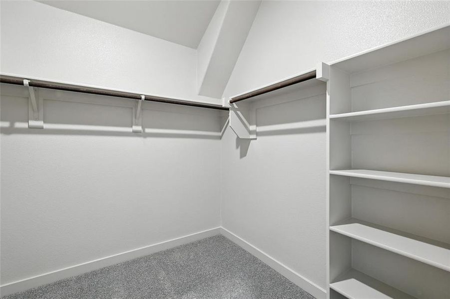 Walk in closet featuring carpet floors Walk in closet featuring carpet floors