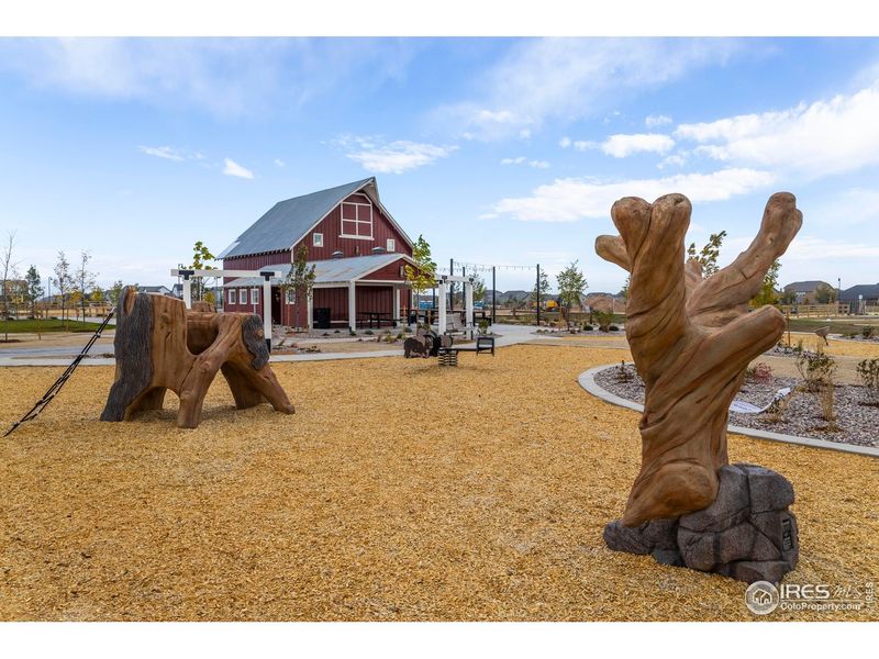 Community amenities in , Timnath (Image 41).