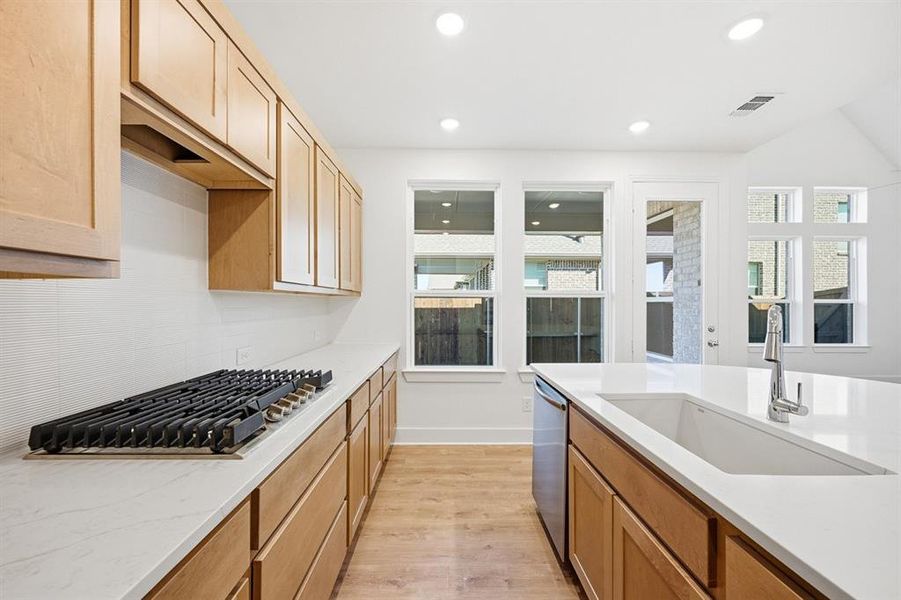 Furnished interior view inside a new home in Heritage Ranch: 50ft. lots, Sherman (Image 7).