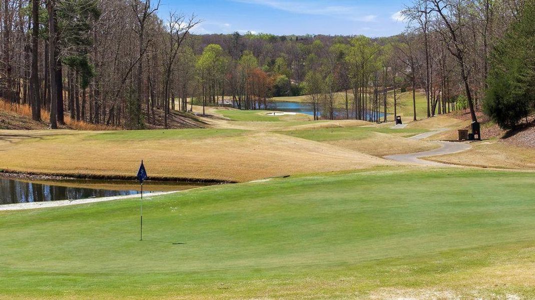 Natural landscape and outdoor views near  in Dawsonville (Image 68).