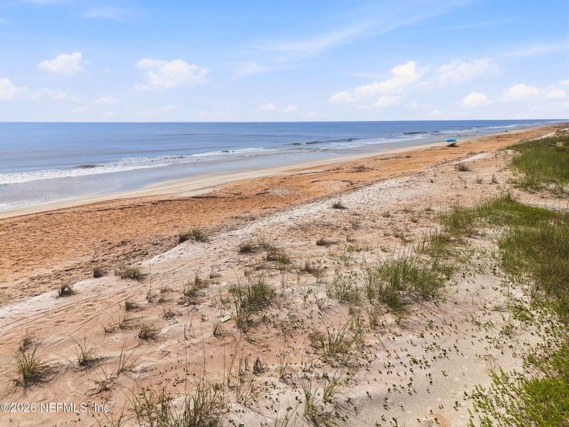 Natural landscape and outdoor views near  in Ponte Vedra Beach (Image 22).